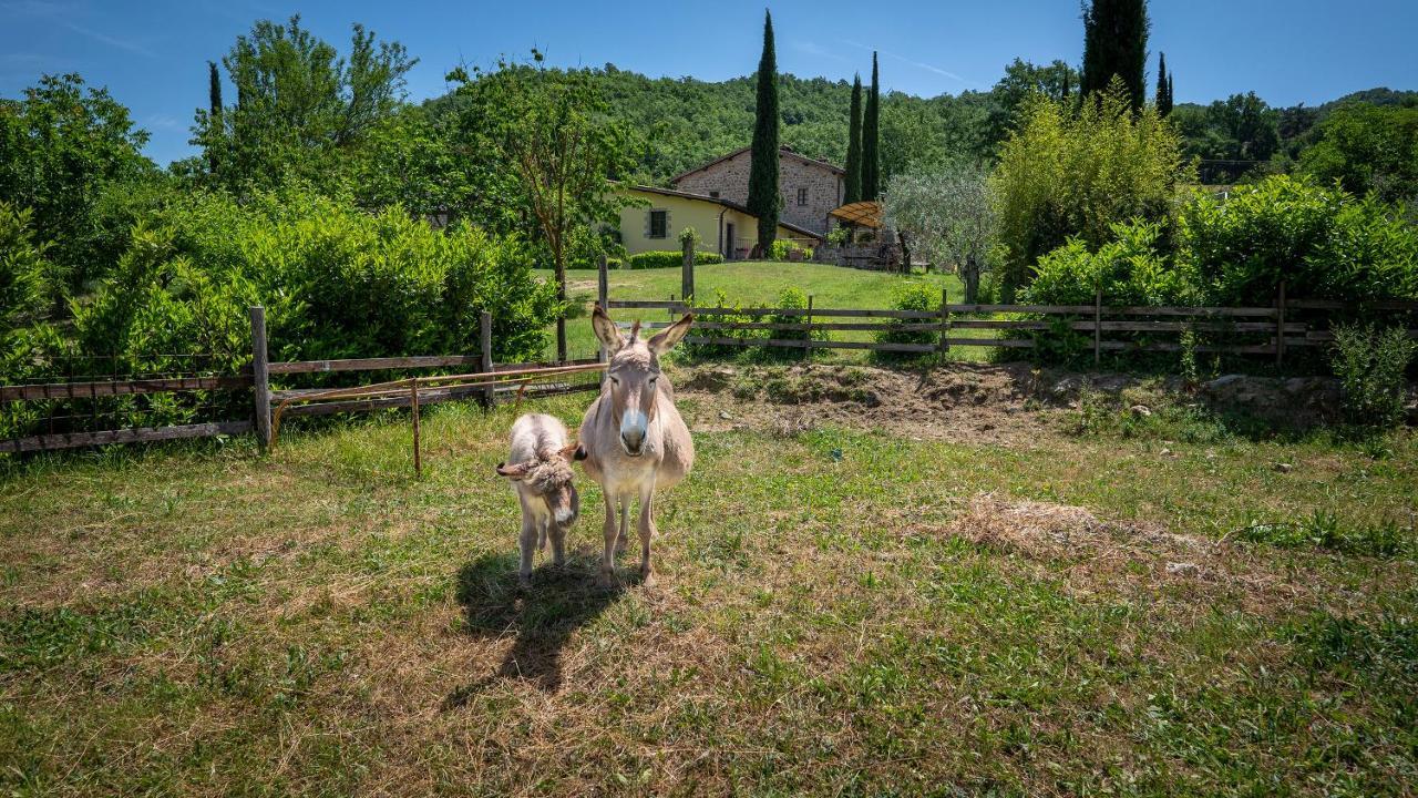 Agriturismo I Pietrini Perugia Buitenkant foto